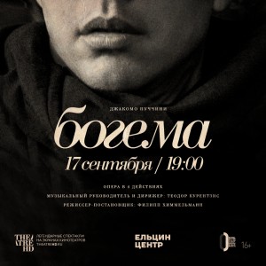 Тестовый образец