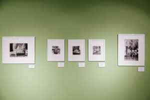 Открытие выставки «Отоваренная мечта»