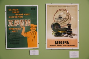 Открытие выставки «Отоваренная мечта»