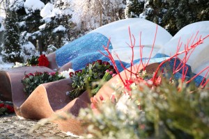 1 февраля 2018 года. Новодевичье кладбище