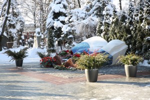 1 февраля 2018 года. Новодевичье кладбище