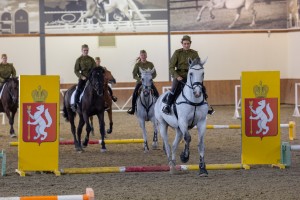 Кубок Ельцина по конкуру