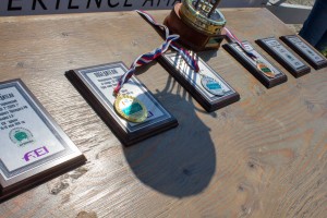 Кубок Ельцина по конкуру