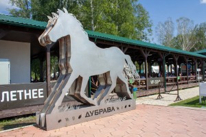 Кубок Ельцина по конкуру