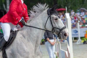 Кубок Ельцина по конкуру