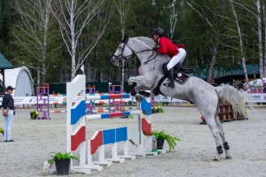 Кубок Ельцина по конкуру