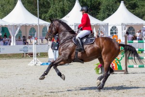 Кубок Ельцина по конкуру