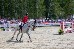 Кубок Ельцина по конкуру