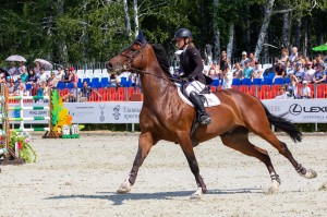 Кубок Ельцина по конкуру