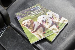 «Собаки – помощники инвалидов» в Ельцин Центре