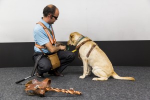 «Собаки – помощники инвалидов» в Ельцин Центре