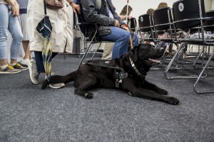 «Собаки – помощники инвалидов» в Ельцин Центре
