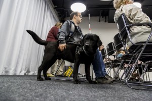 «Собаки – помощники инвалидов» в Ельцин Центре