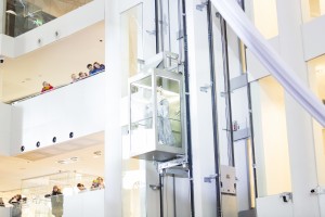 Ёлка-квест «Полетели ели»