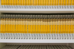 Экскурсия в Архив. «Непыльные» истории