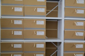 Экскурсия в Архив. «Непыльные» истории