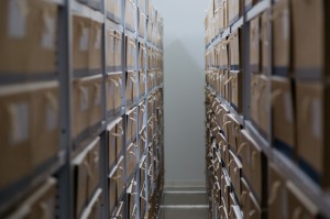 Экскурсия в Архив. «Непыльные» истории