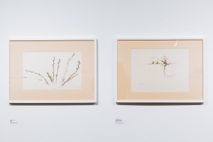 Эрик Булатов в Музее Ельцина