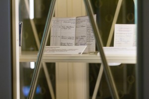 Полная версия. Трудовая книжка