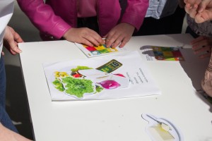 Фестиваль профессий «Стань взрослым на один день»