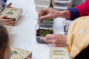 Фестиваль профессий «Стань взрослым на один день»