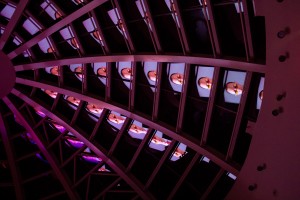 Museum after hours. «Директор Всего» 