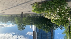 Фасад Ельцин Центра. Май, 2020