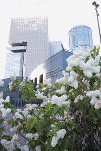 Фасад Ельцин Центра. Май, 2020