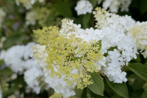 Фасад Ельцин Центра в июле 2020 