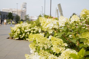 Фасад Ельцин Центра в июле 2020 