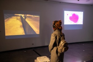 Третий фестиваль нового аудиовизуального искусства «Луч»
