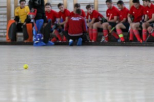 Восьмой Кубок Ельцина по индорхоккею