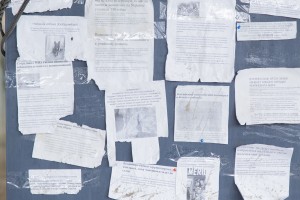 Итоговая выставка работ участников проекта «Перемена» (11 августа — 2 сентября 2018 года)