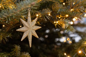 Новогодние украшения