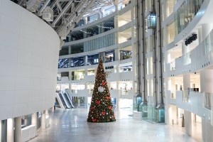 Новогодняя ёлка в Ельцин Центре декабрь 2020