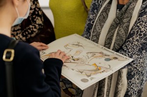 Доступный музей