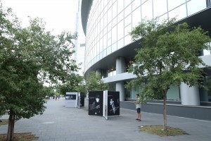 Открытие фотовыставки «Время схождения звёзд»