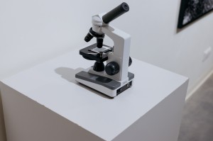 Выставка Максима Иванова «Победители»