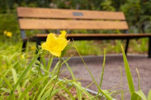 Открытие Сада трав