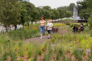 Открытие Сада трав