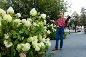 Сад трав: из прошлого в будущее