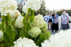 Сад трав: из прошлого в будущее