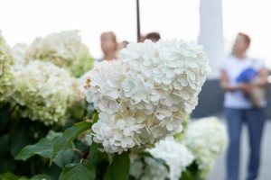 Сад трав: из прошлого в будущее