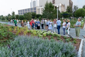Сад трав: из прошлого в будущее