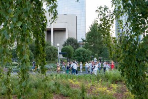 Сад трав: из прошлого в будущее