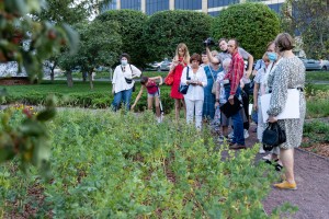 Сад трав: из прошлого в будущее