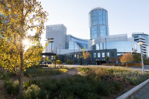 Осенний фасад Ельцин Центра 2021