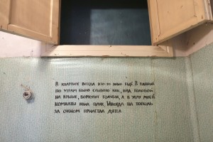 Саша Салтанова «Онежская». Выставка «Место на Земле». Проект «МЖК-1980»