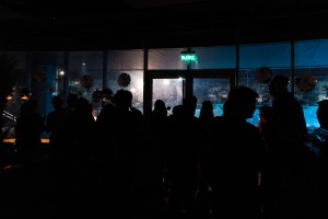 Ужин-мечта в кафе «1991»