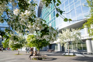 Летний фасад Ельцин Центра